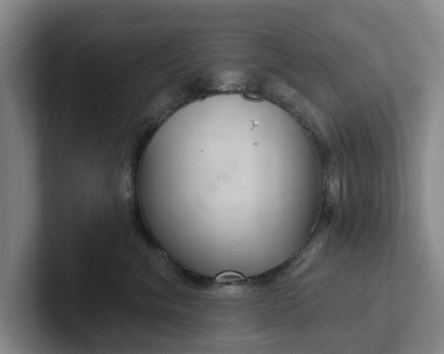 X0000102280620200808081503