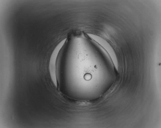 X0000102280621200808081503