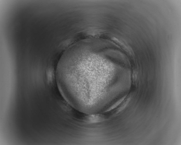 X0000102280623200808081503