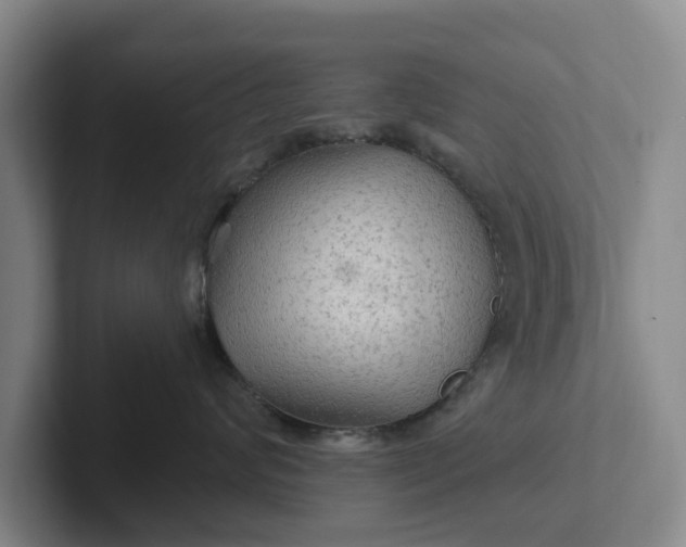 X0000102280624200808081503