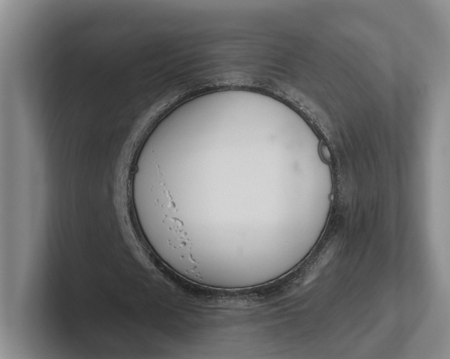 X0000102280625200808081503