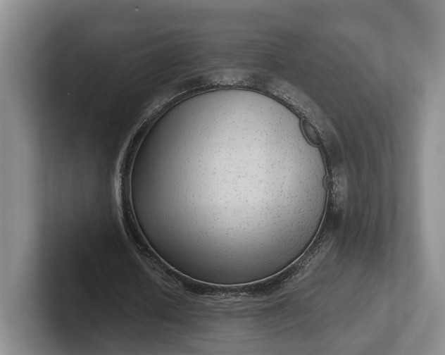 X0000102280626200808081503