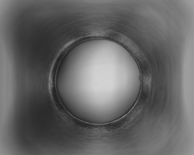 X0000102280628200808081503