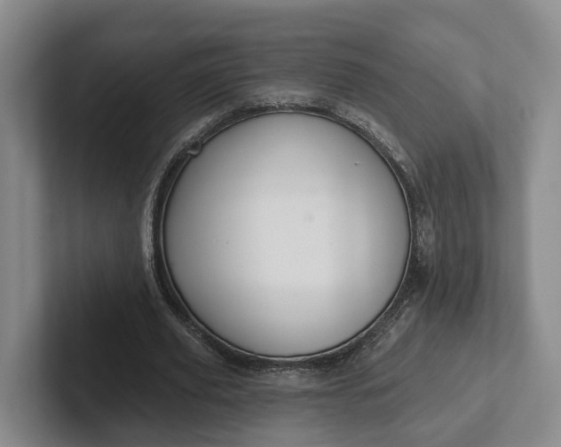 X0000102280629200808081503