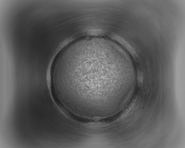 X0000102280630200808081503