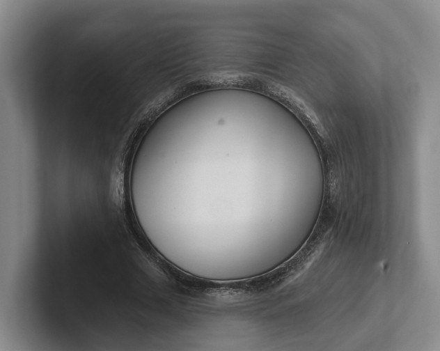 X0000102280633200808081503