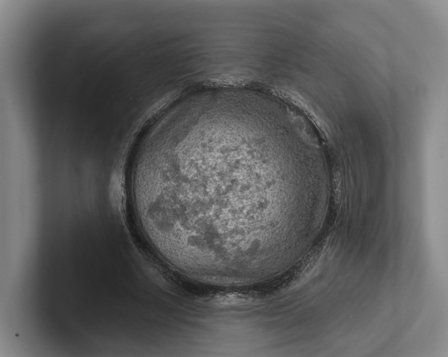 X0000102280634200808081503