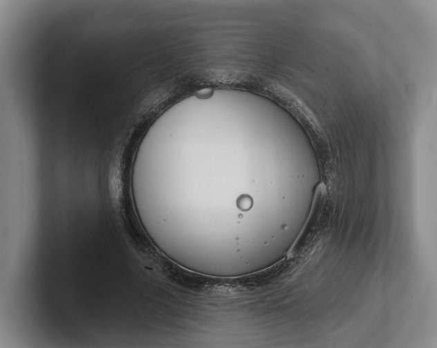 X0000102280635200808081503