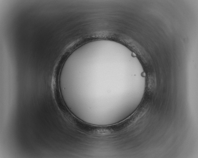 X0000102280636200808081503