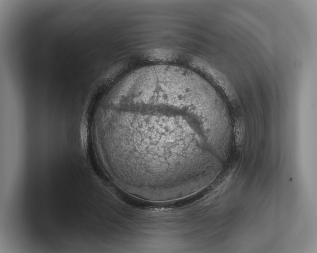 X0000102280637200808081503