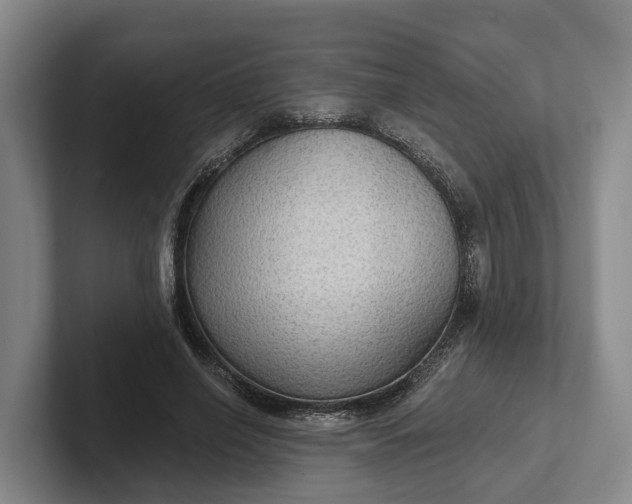 X0000102280638200808081503