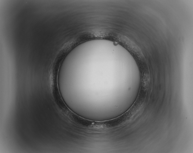 X0000102280639200808081503