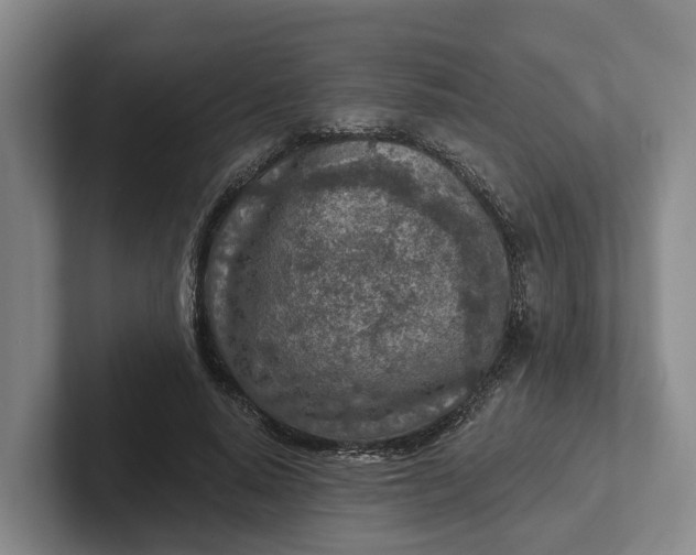 X0000102280640200808081503