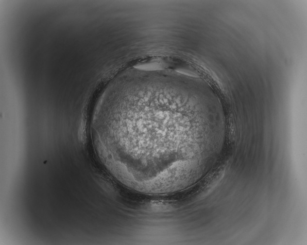 X0000102280641200808081503