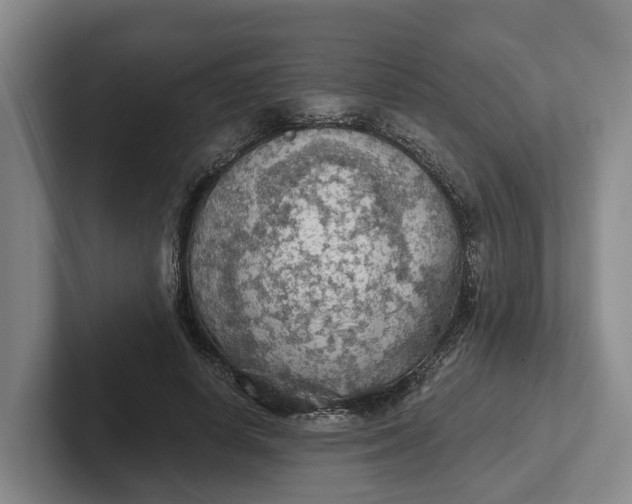 X0000102280642200808081503