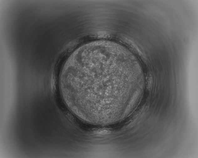 X0000102280643200808081503