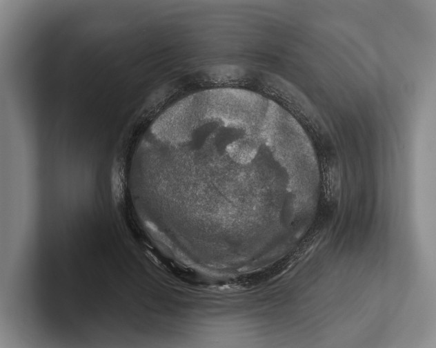 X0000102280644200808081503