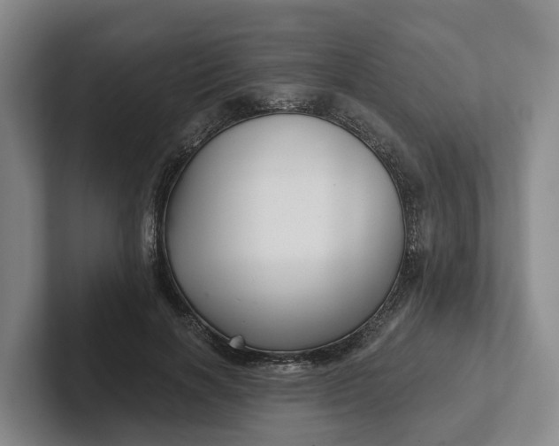 X0000102280646200808081503