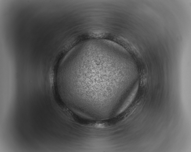 X0000102280647200808081503