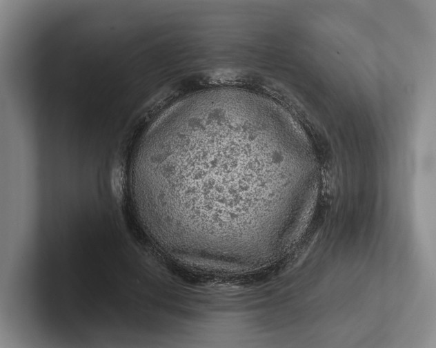 X0000102280648200808081503