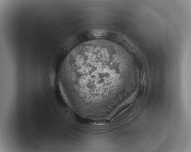 X0000102280651200808081503