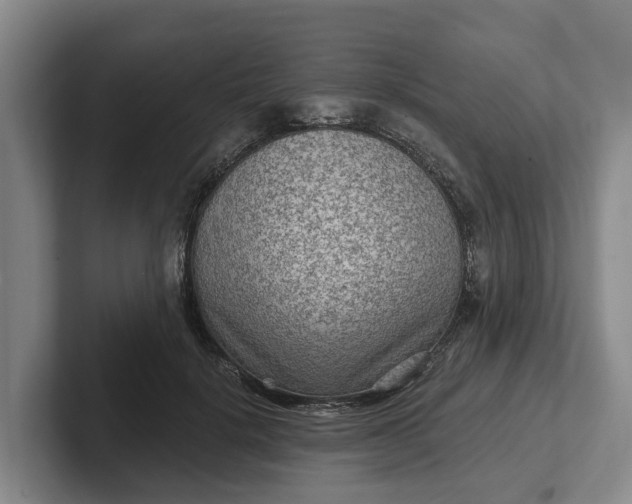 X0000102280652200808081503