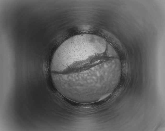 X0000102280653200808081503