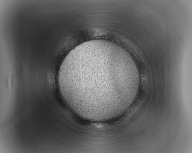 X0000102280654200808081503