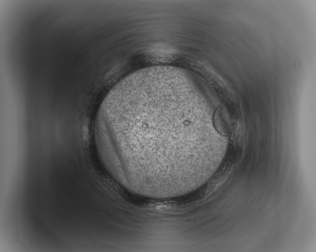 X0000102280655200808081503