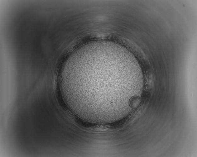 X0000102280656200808081503