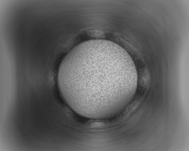 X0000102280658200808081503