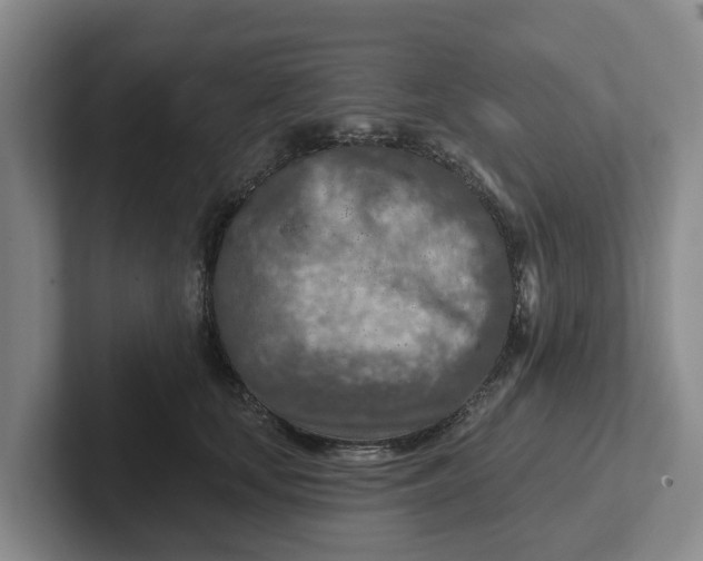 X0000102280659200808081503