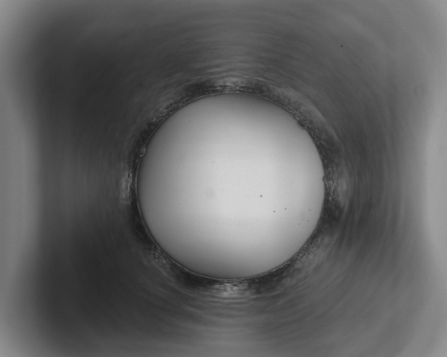 X0000102280660200808081503