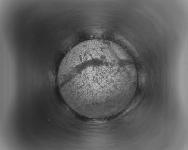 X0000102280661200808081503