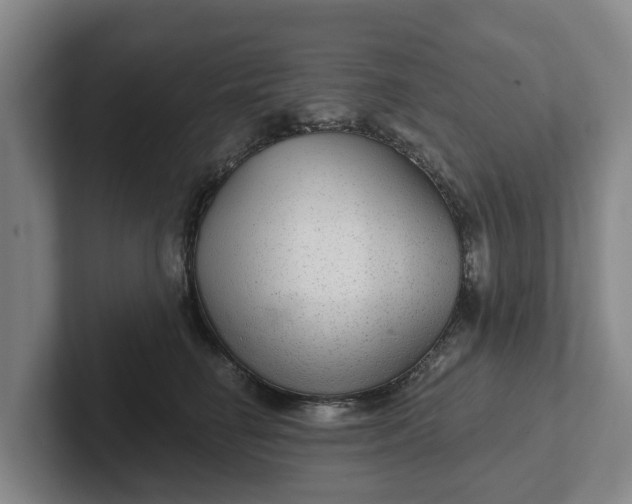 X0000102280662200808081503