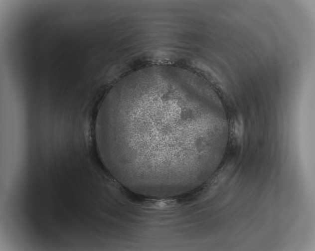 X0000102280663200808081503