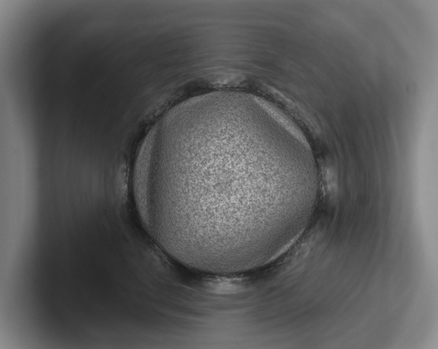 X0000102280664200808081503