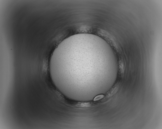 X0000102280665200808081503