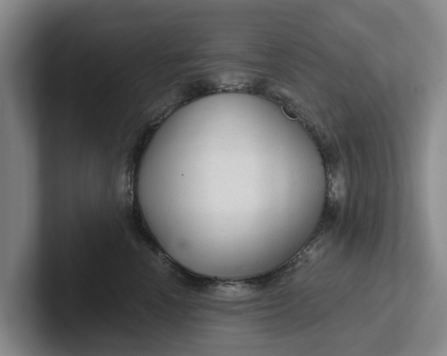 X0000102280666200808081503