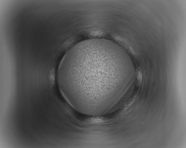 X0000102280668200808081503