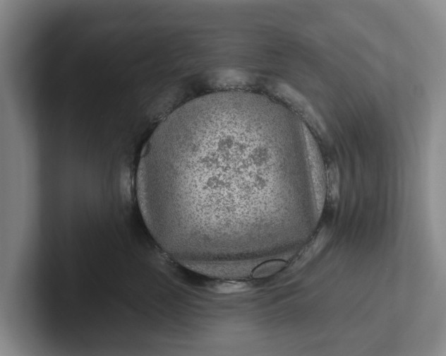 X0000102280669200808081503