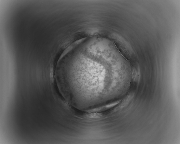 X0000102280670200808081503