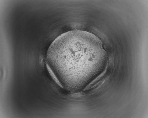 X0000102280671200808081503