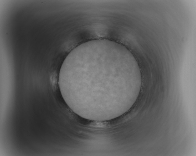 X0000102280672200808081503