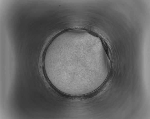 X0000102280673200808081503