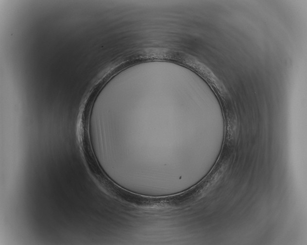 X0000102280674200808081503