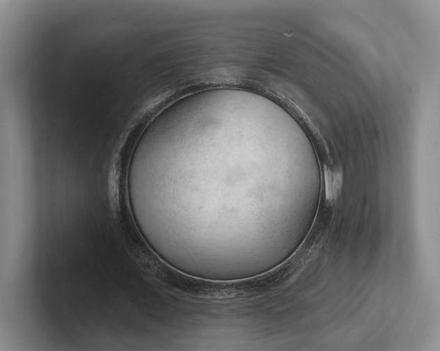 X0000102280675200808081503