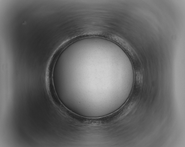 X0000102280676200808081503