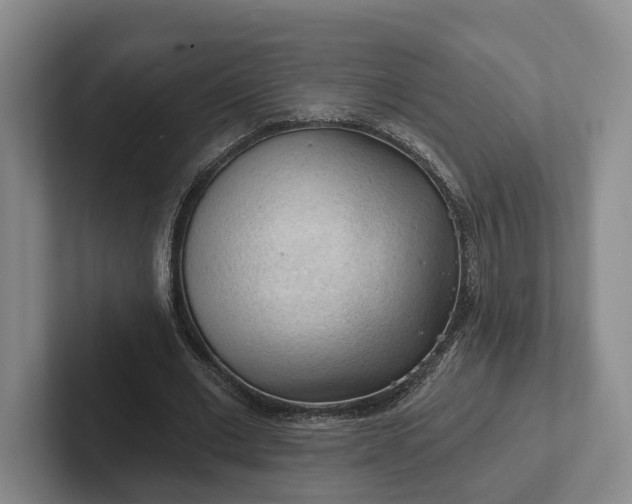 X0000102280677200808081503