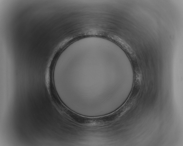 X0000102280678200808081503